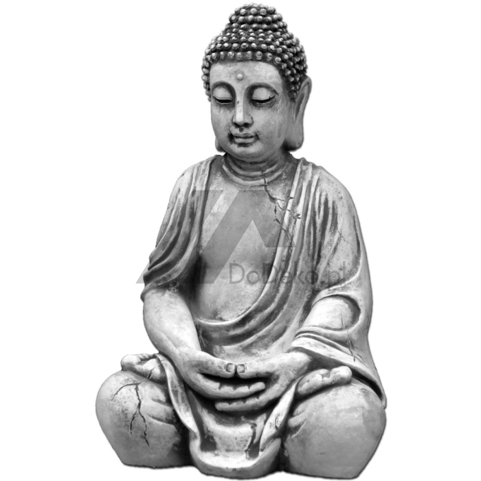 Buddha na meditação