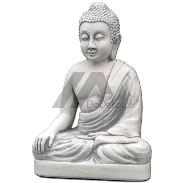 Meditando no Buda